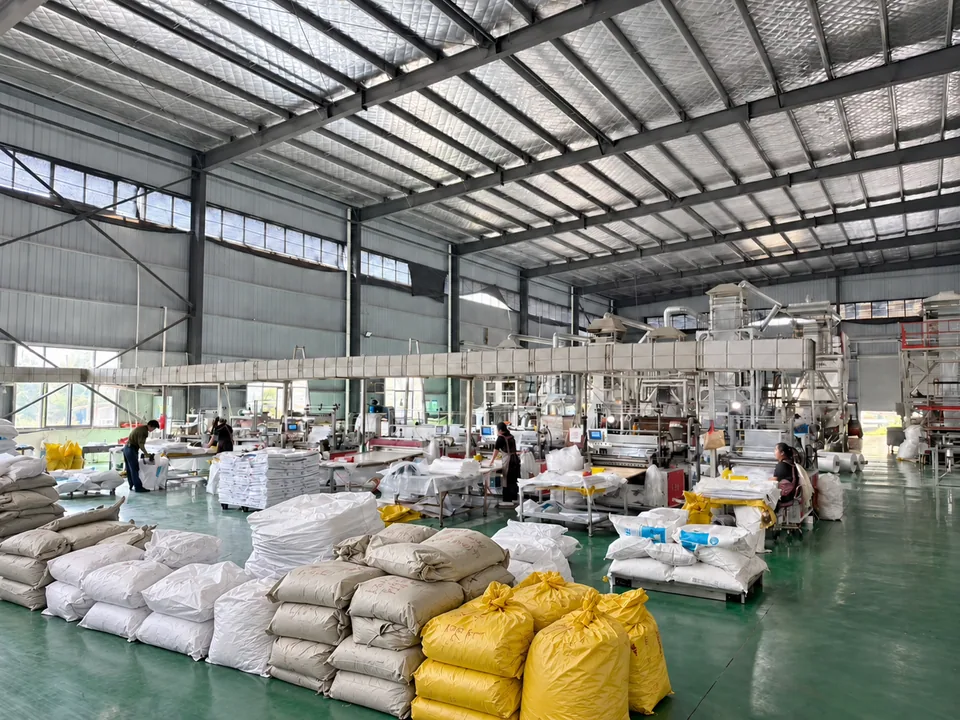 大迈包装制袋车间全景,设备、工作台和包装物料